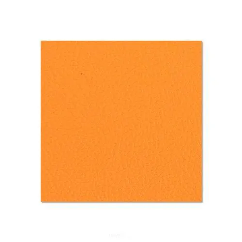 Birkensperrholz 120 x 79 cm orange kunststoffbeschichtet mit Gegenzugfolie 69 mm