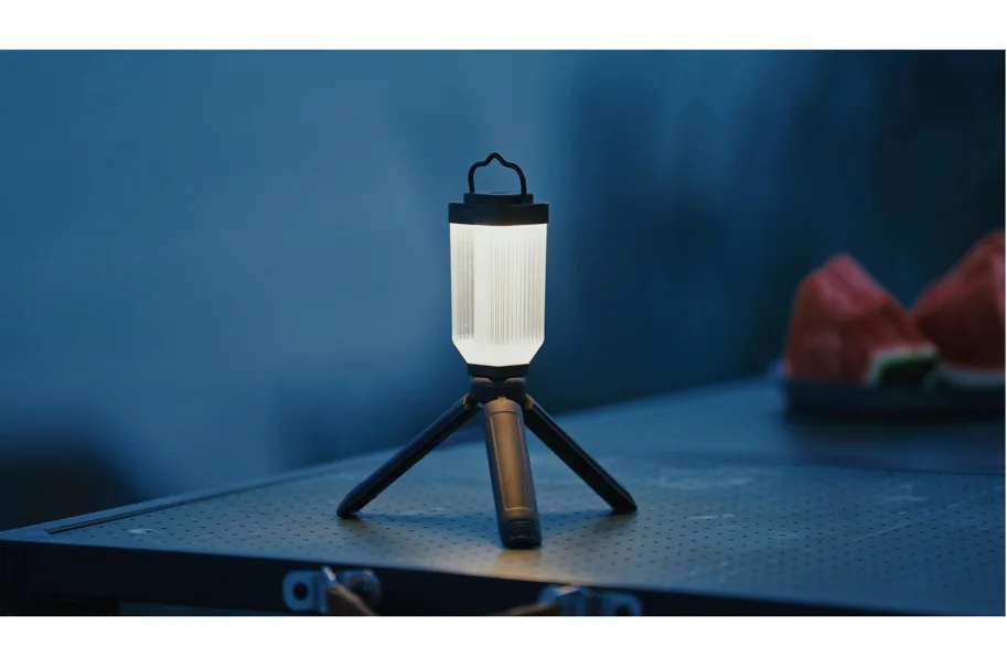 Wild Land Mini Light with Tripod