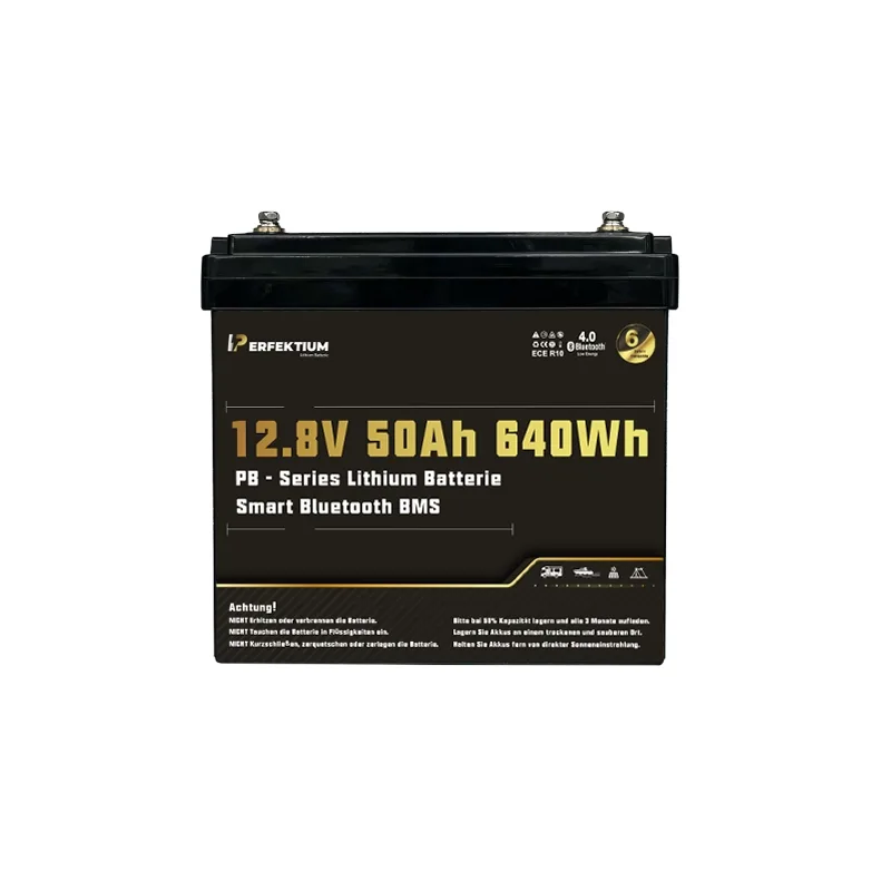 Lithium Batterie 50Ah 12V LiFePO4 Smart BMS Bluetooth Perfektium