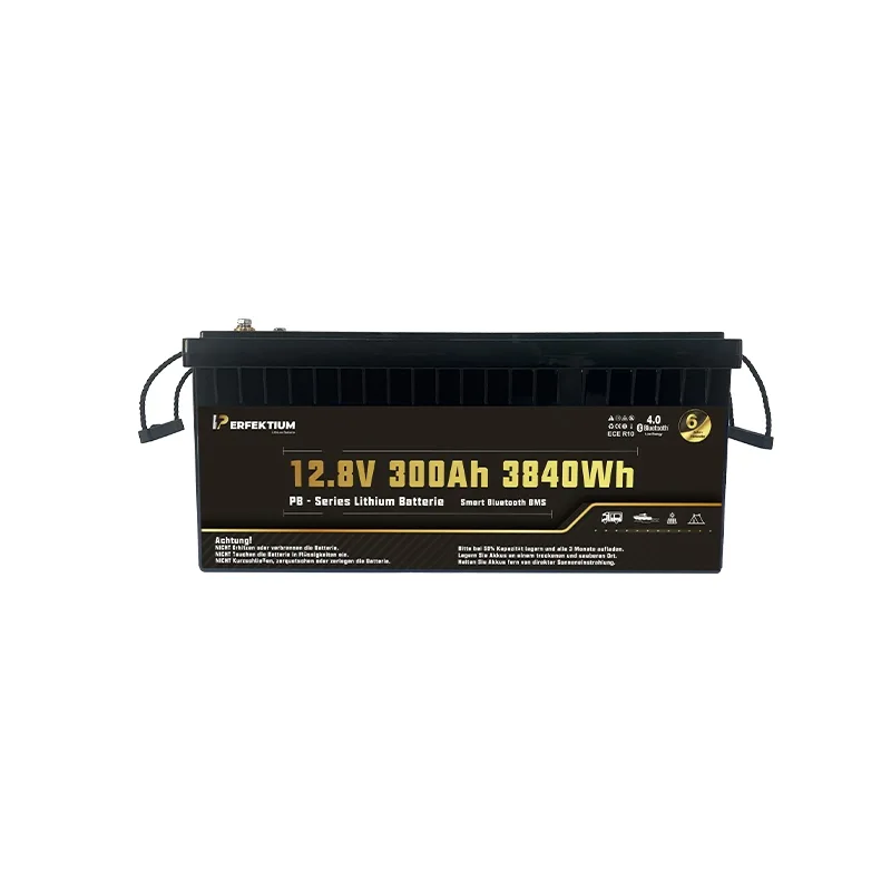 Lithium Batterie 300Ah PRO 12V LiFePO4 Smart BMS Bluetooth Perfektium